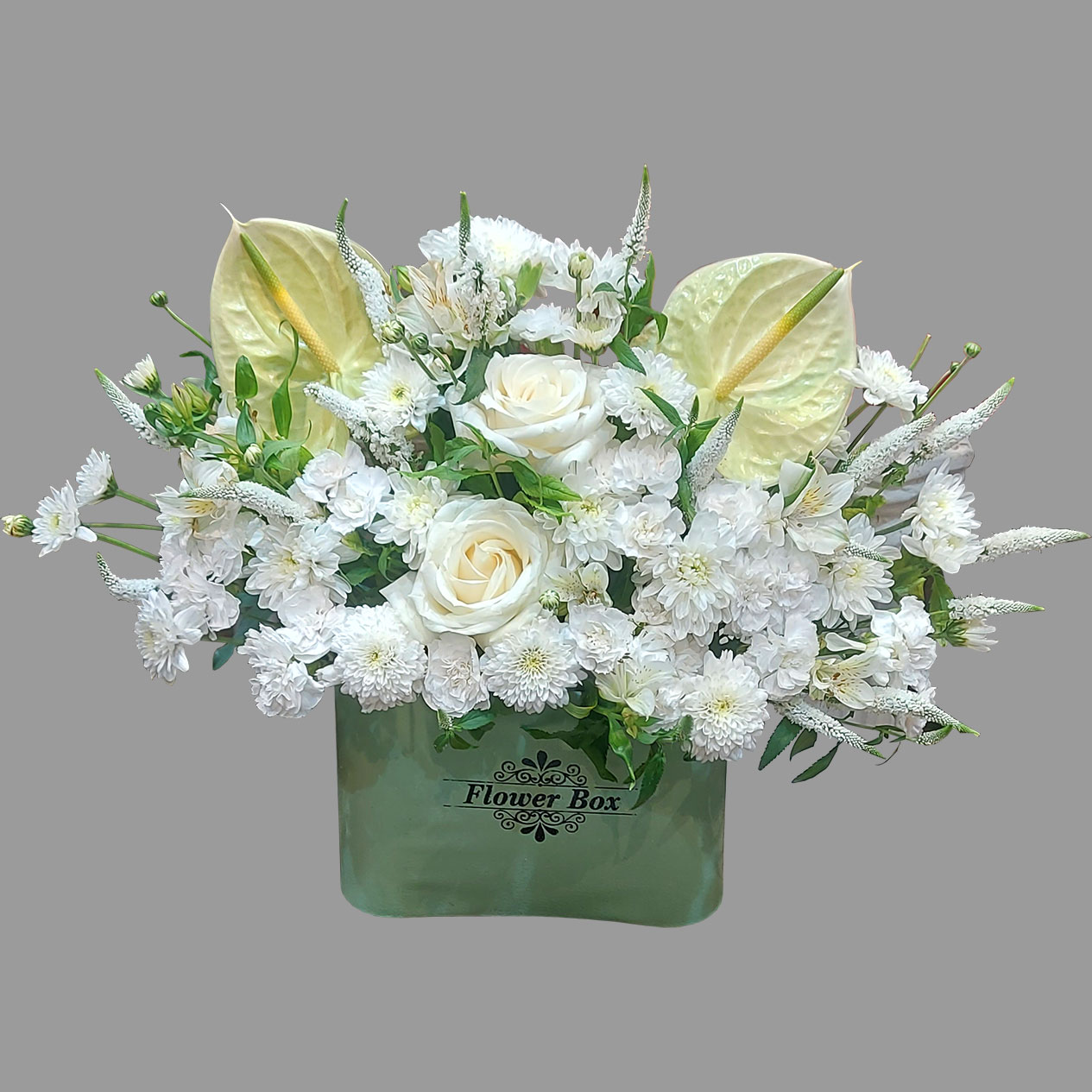باکس گل سبز پسته ای با آنتوریوم سفید رز سفید داوودی سفید