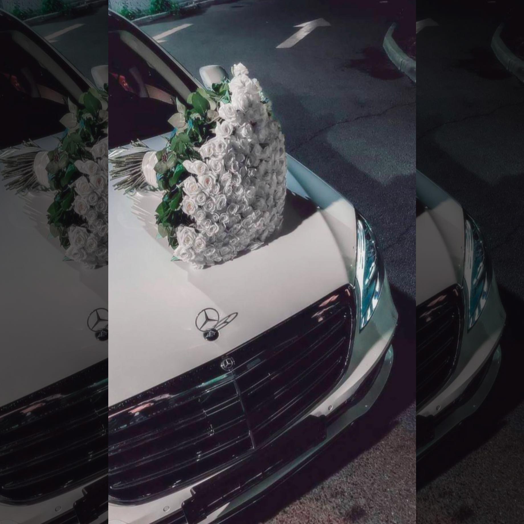 دسته گل رز سفید لاکچری صد شاخه با ماشین بنز