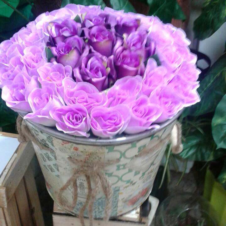 سطل گل رز بنفش ارغوانی طبیعی فانتزی رنگی
