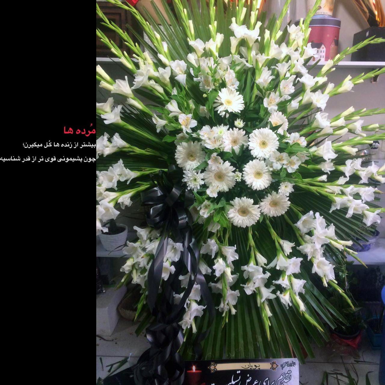 مرده ها بیشتر از زنده ها گل میگیرن چون پشیمونی قوی تر از قدر شناسیه