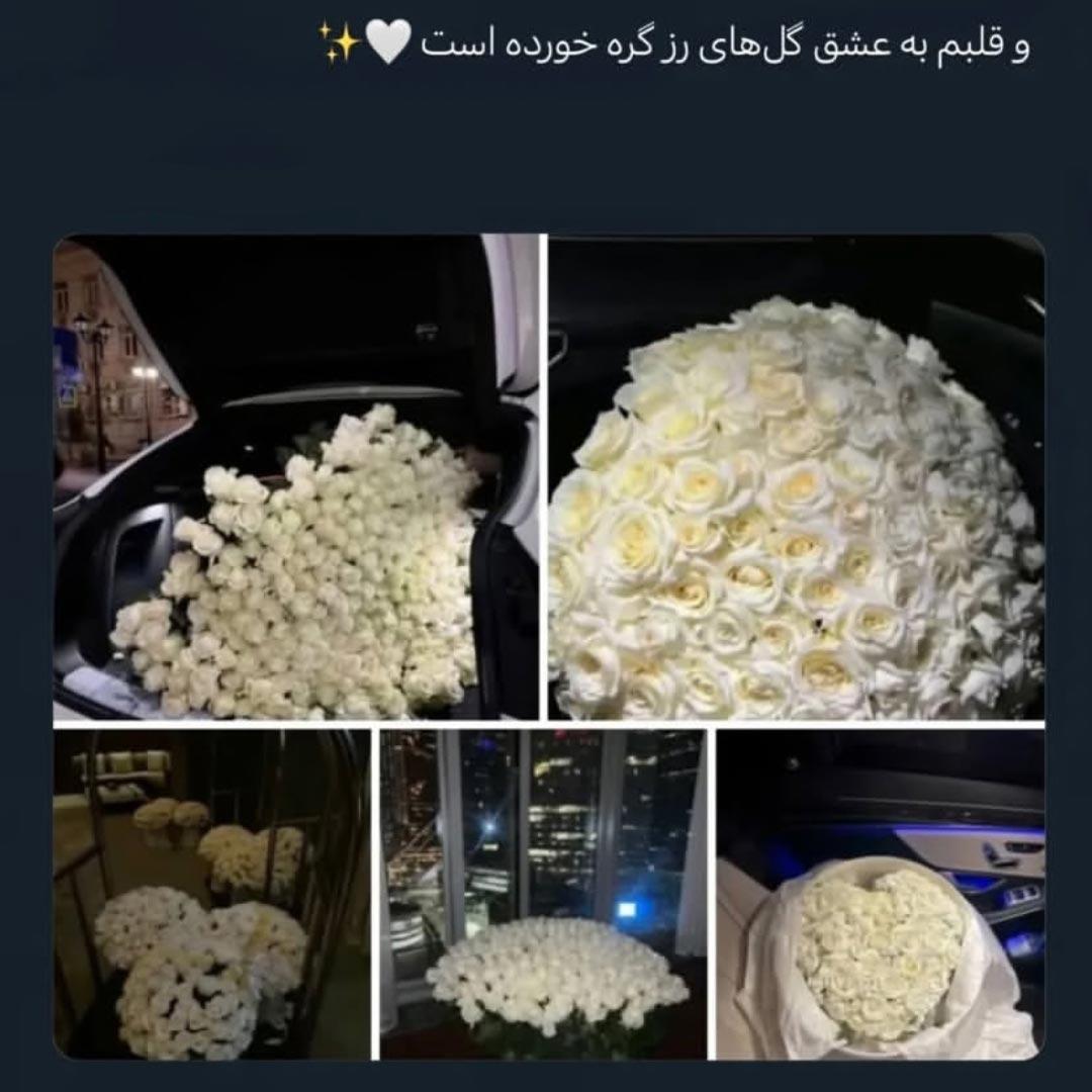 و قلبم به عشق گل های رز گره خورده است