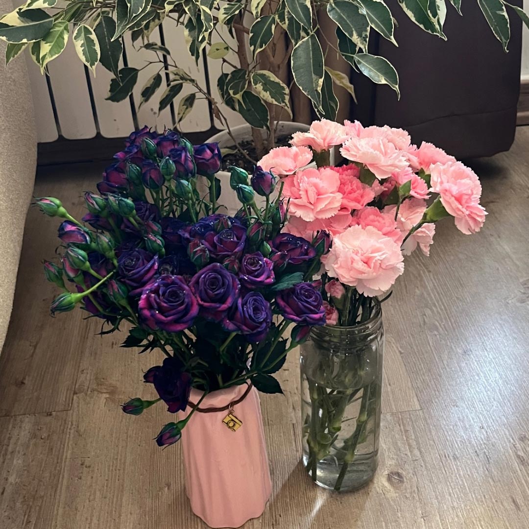 گل رز شاخه ای رنگ بنفش صورتی