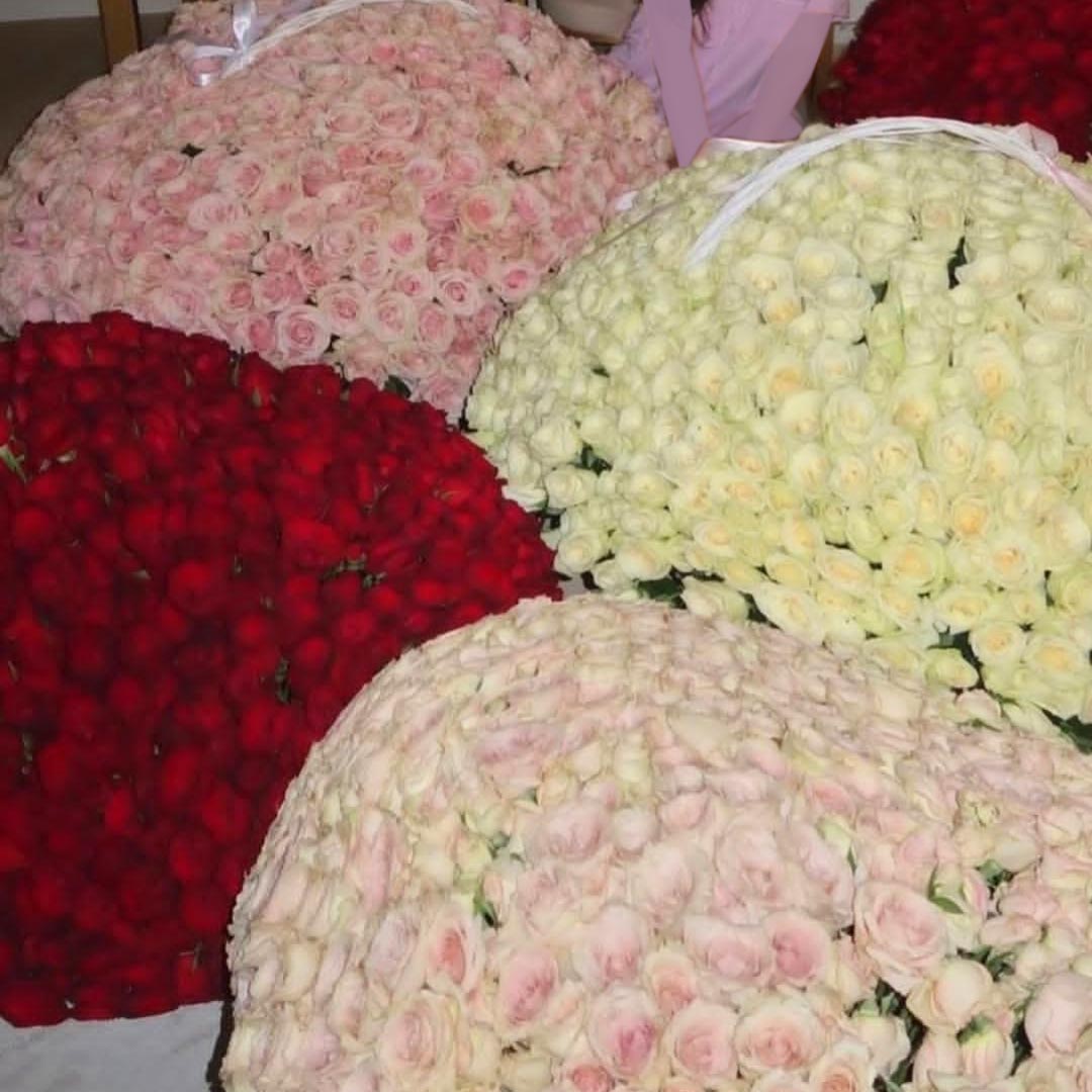 گل رز عمده قیمت ۱۰۰ شاخه گل رز پرورش