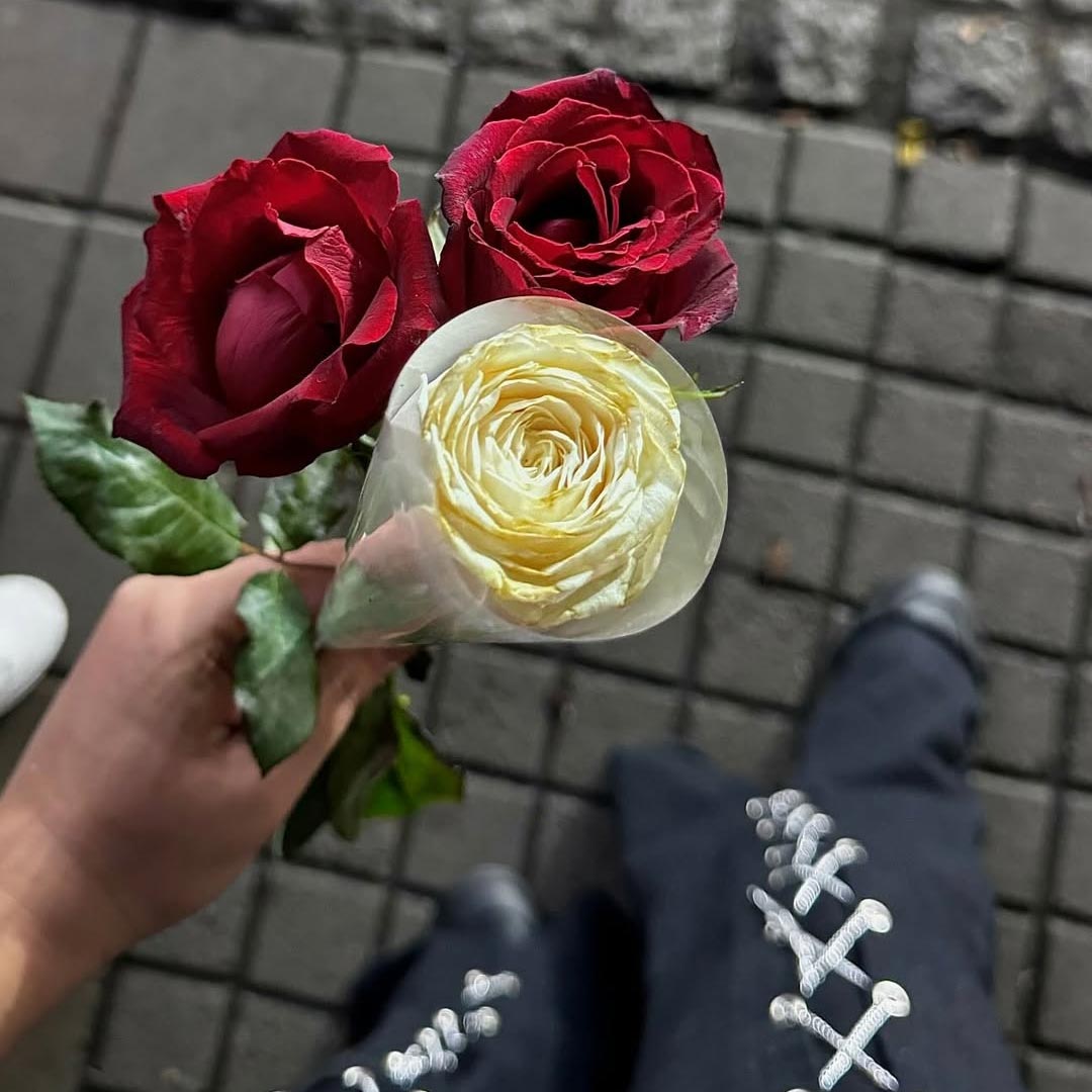 گل رز قرمز طبیعی نماد چیست ؟